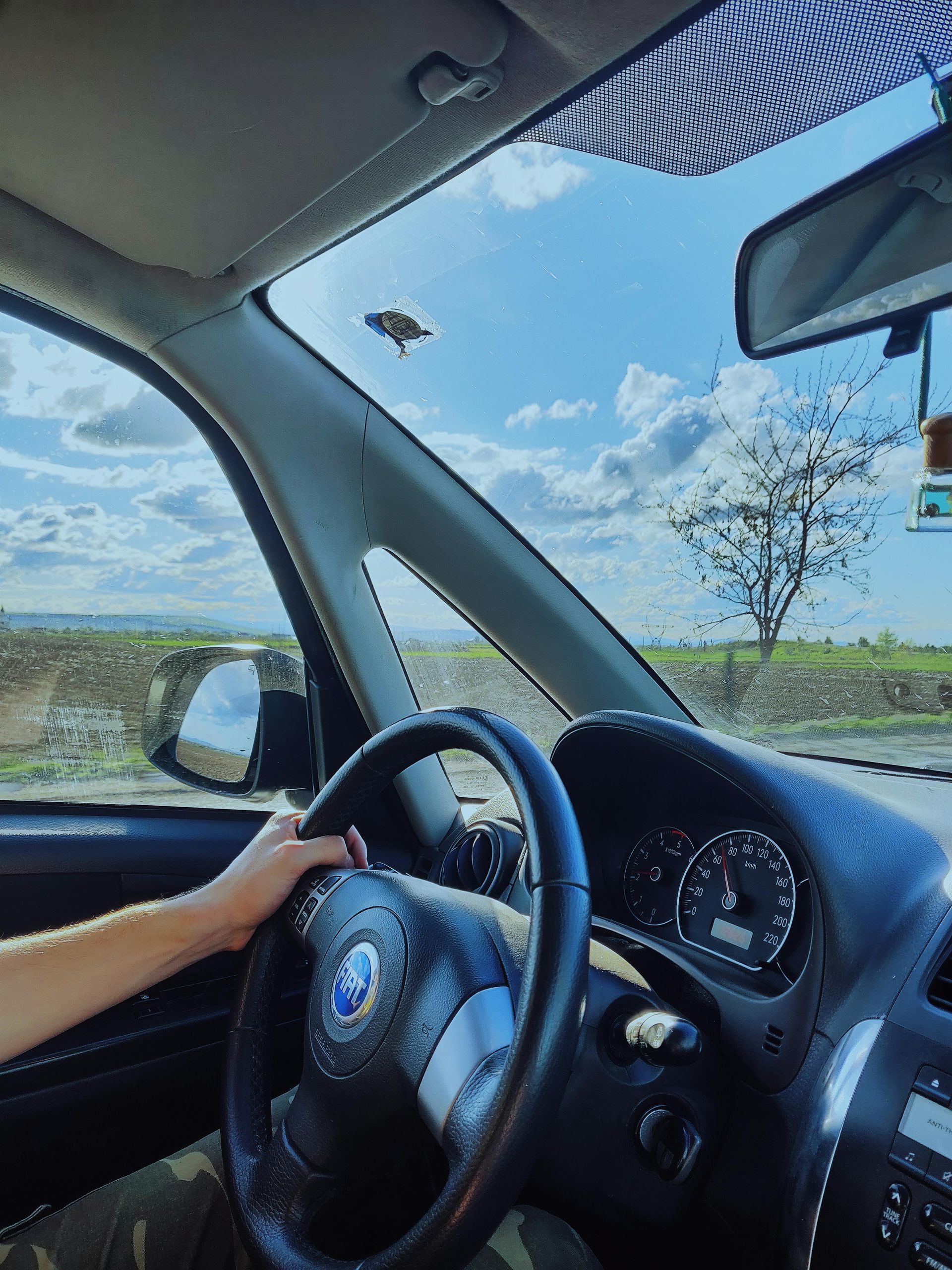 Inside a car, a person's hands on the steering wheel driving on a sunny day.