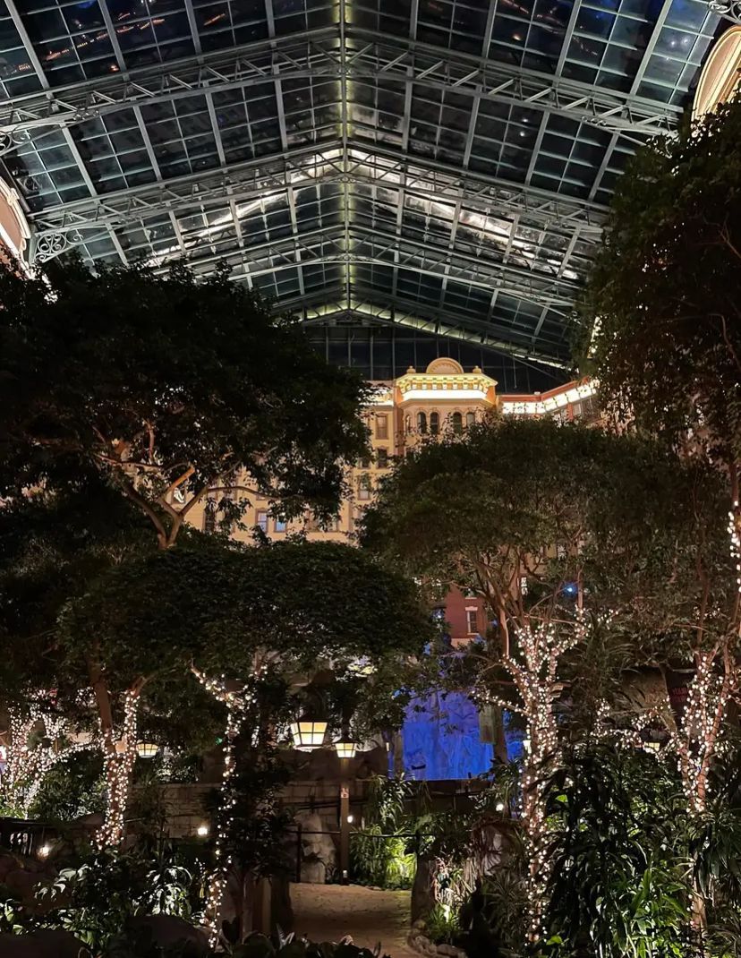 A large building with a lot of windows is lit up at night.