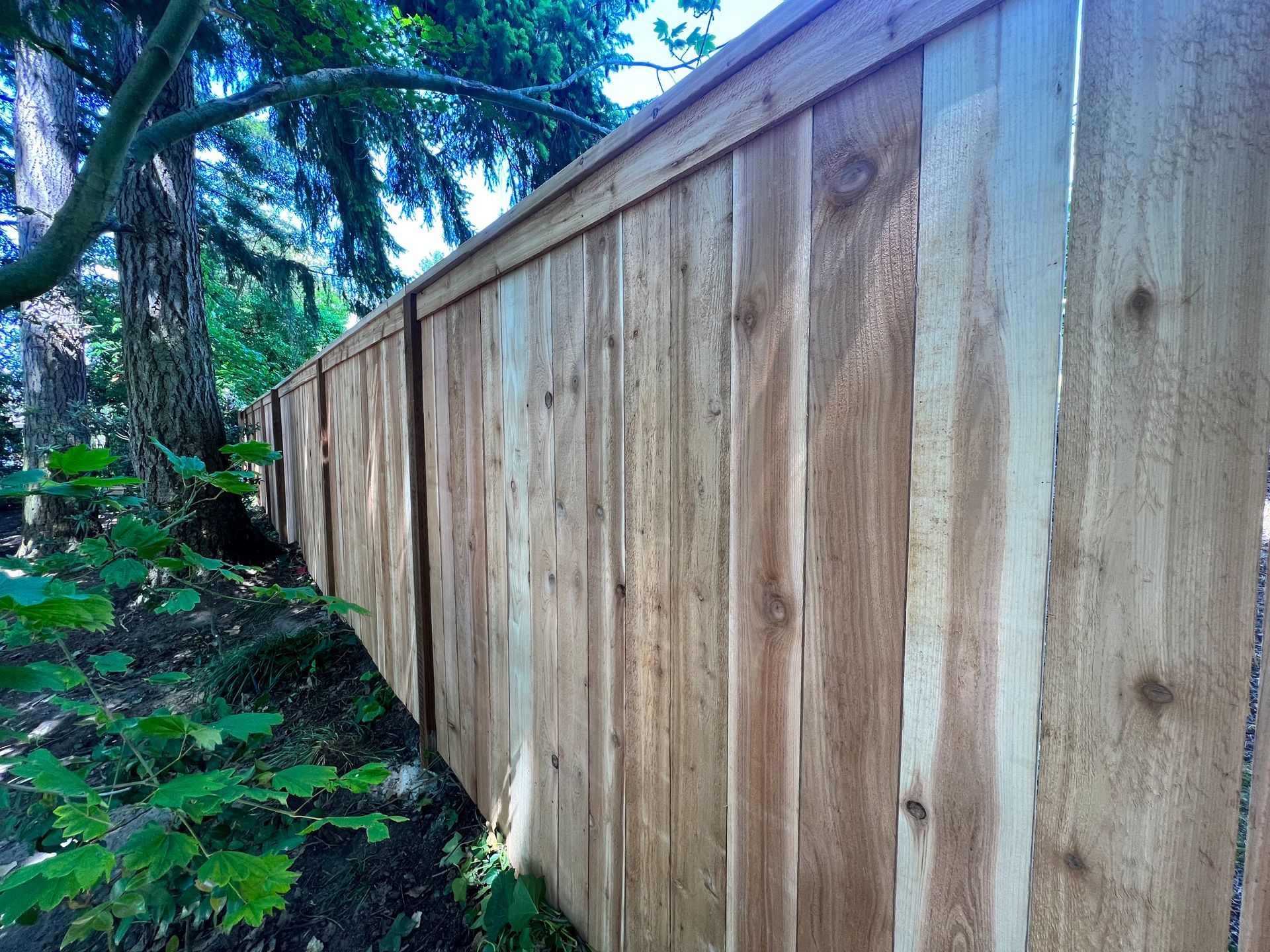 Why Should You Get a Cedar Fence?