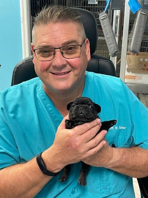 Dr. Scott Dieter, Veterinarian — Animal Hospital in Holiday, FL