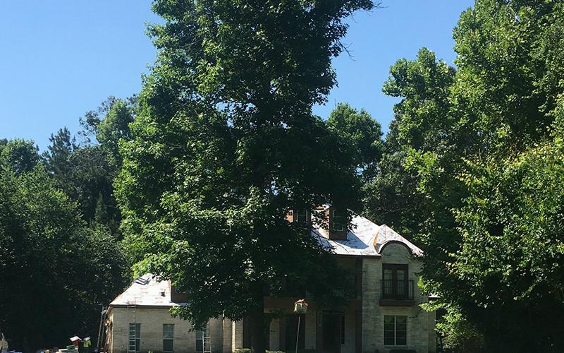 A house is surrounded by trees on a sunny day