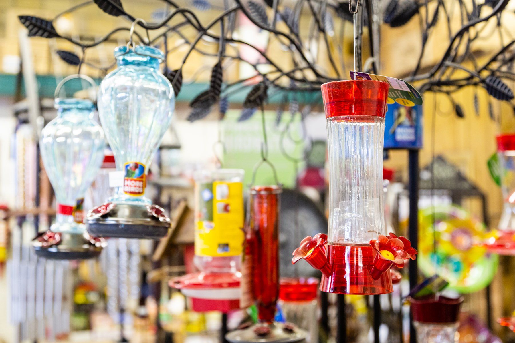 Colorado Wild Bird Supplies