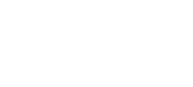 University of North Texas Logo