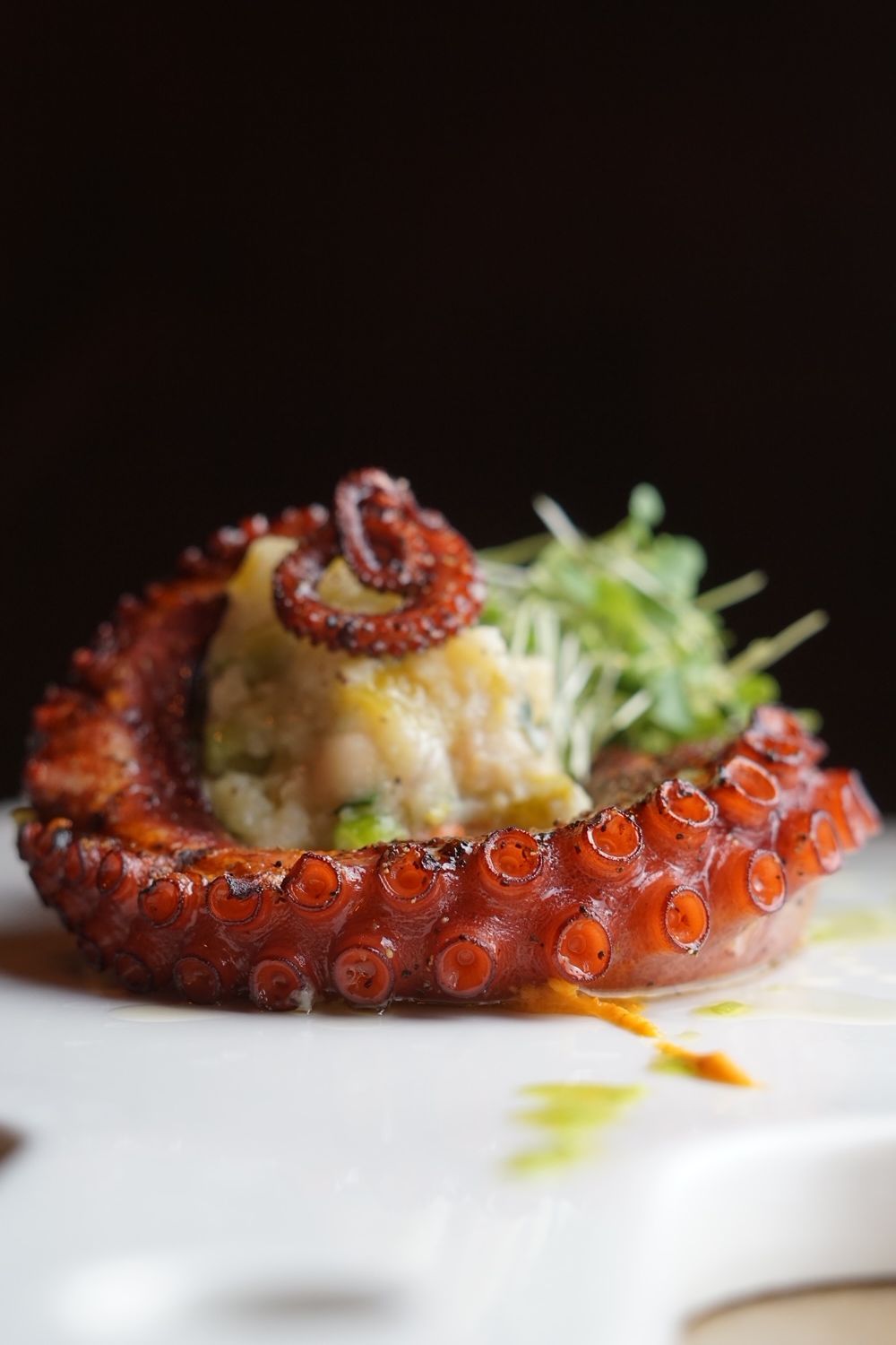 Grilled spanish octopus 
cannellini beans, potato salad, harissa smeared 
