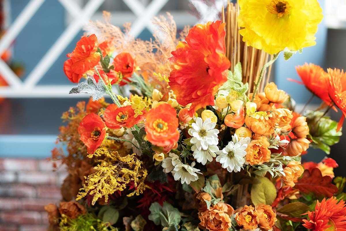 A white flower with a yellow center on a black background