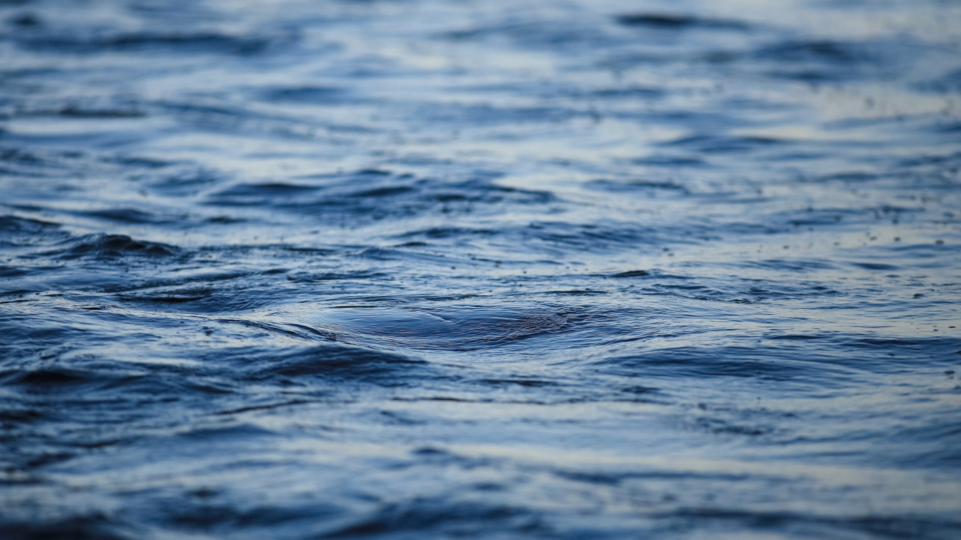 a marina filled with boats and picnic tables on a sunny day .