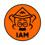 IAM Психометрия логотип