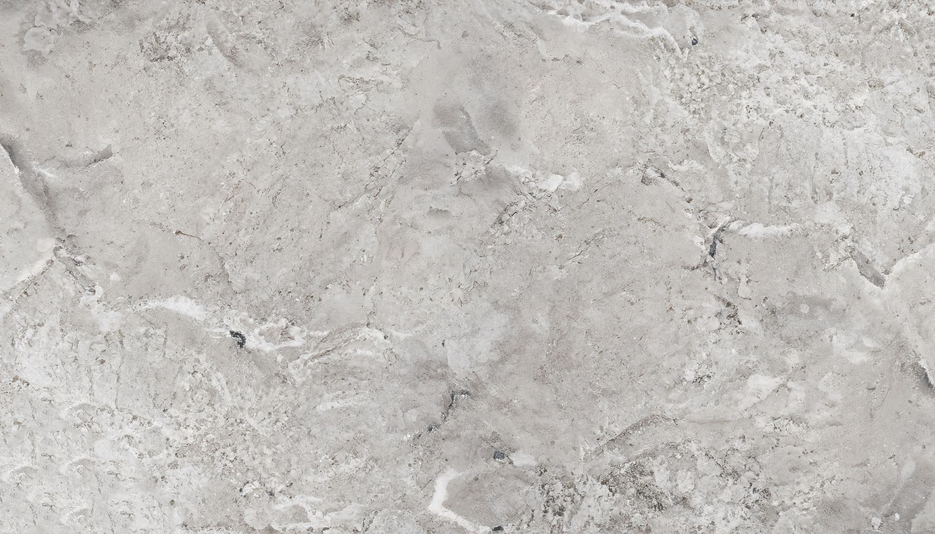 Light gray marble-like stone surface with subtle white and dark veining