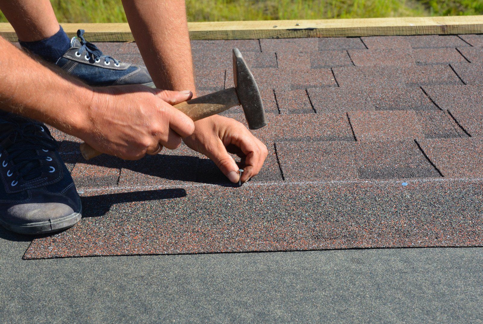 Person hammering a nail into a dark brown asphalt shingle on a roof.