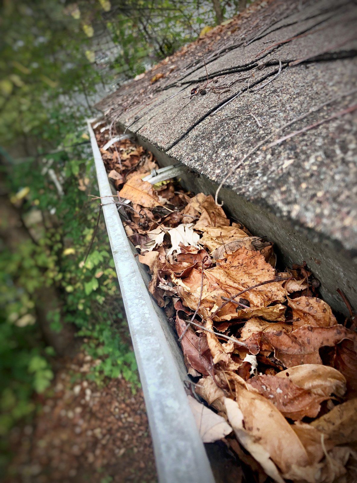 Gutter filled with brown leaves and debris next to a dark, sloped roof, set in an outdoor environment.