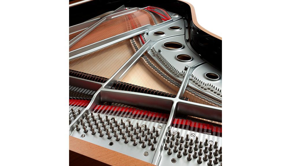 FAZIOLI Telus Piano inside, VIP Pianos