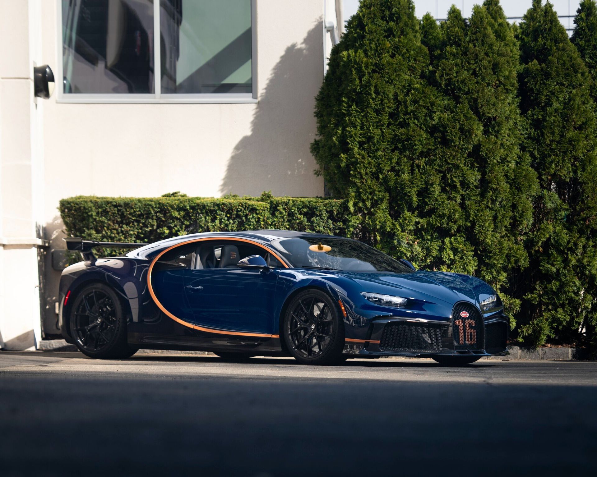 FAZIOLI Blue Piano exotic, VIP Pianos