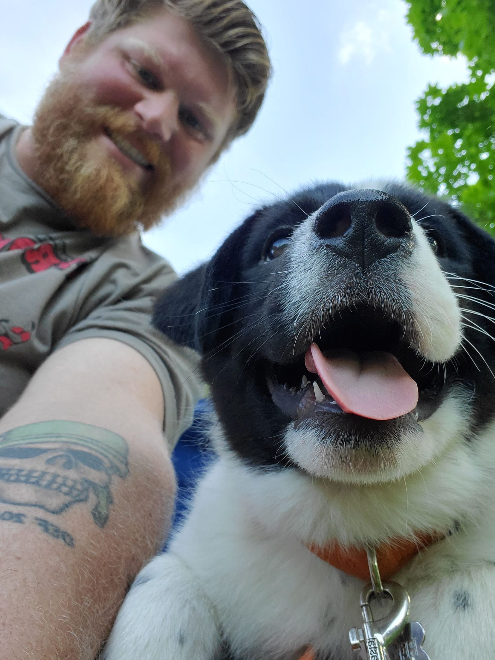 Strongarm Cleaners - A man with a tattoo on his arm holds a black and white dog