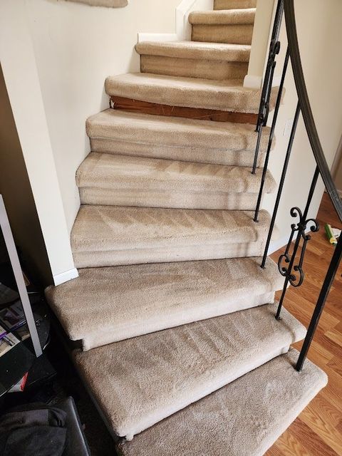 Strongarm Cleaners - A set of stairs with carpeted steps and a metal railing