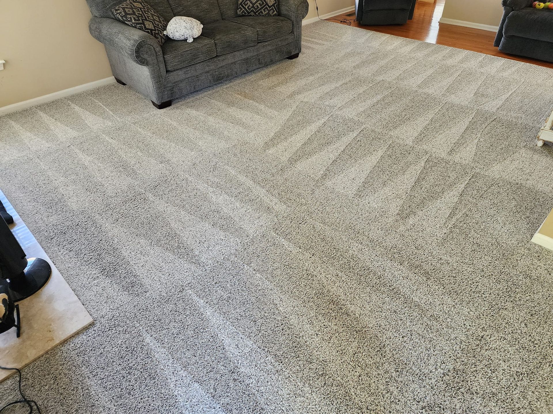 Strongarm Cleaners - A living room with a couch and chairs and a large rug.