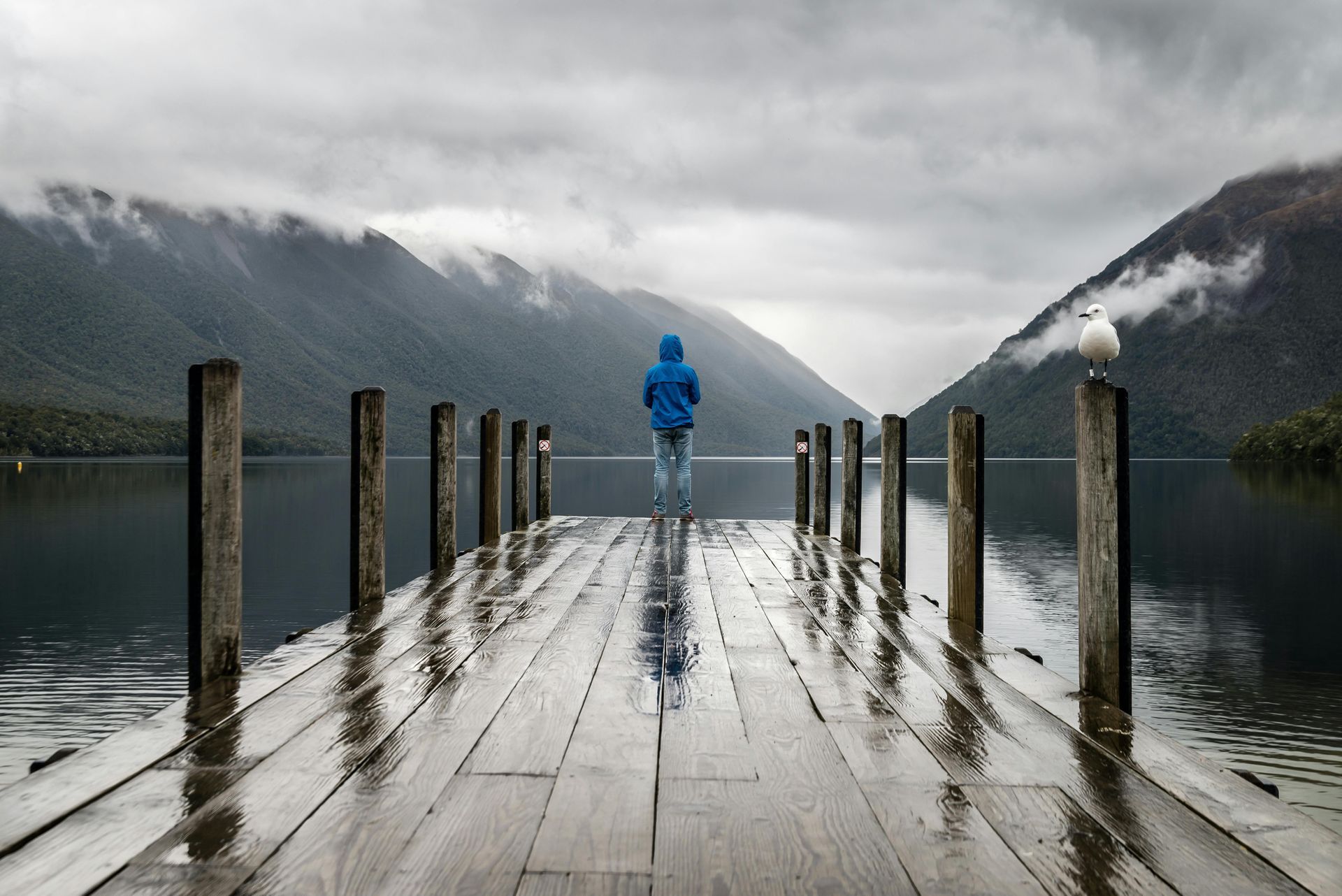 Person in blue jacket stands on a wet wooden pier, looking at lake and mountains under cloudy sky. Seagull perched on a post.