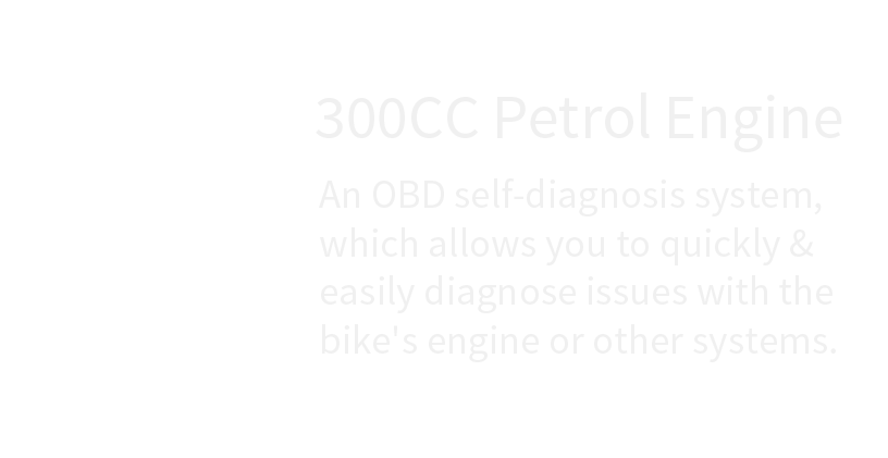 A white background with the words `` 300cc petrol engine '' on it.