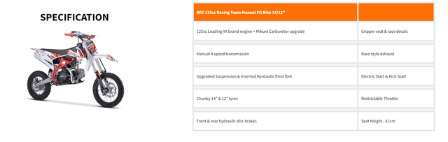 BRZ 125cc Racing Team Manual Pit Bike 14/12