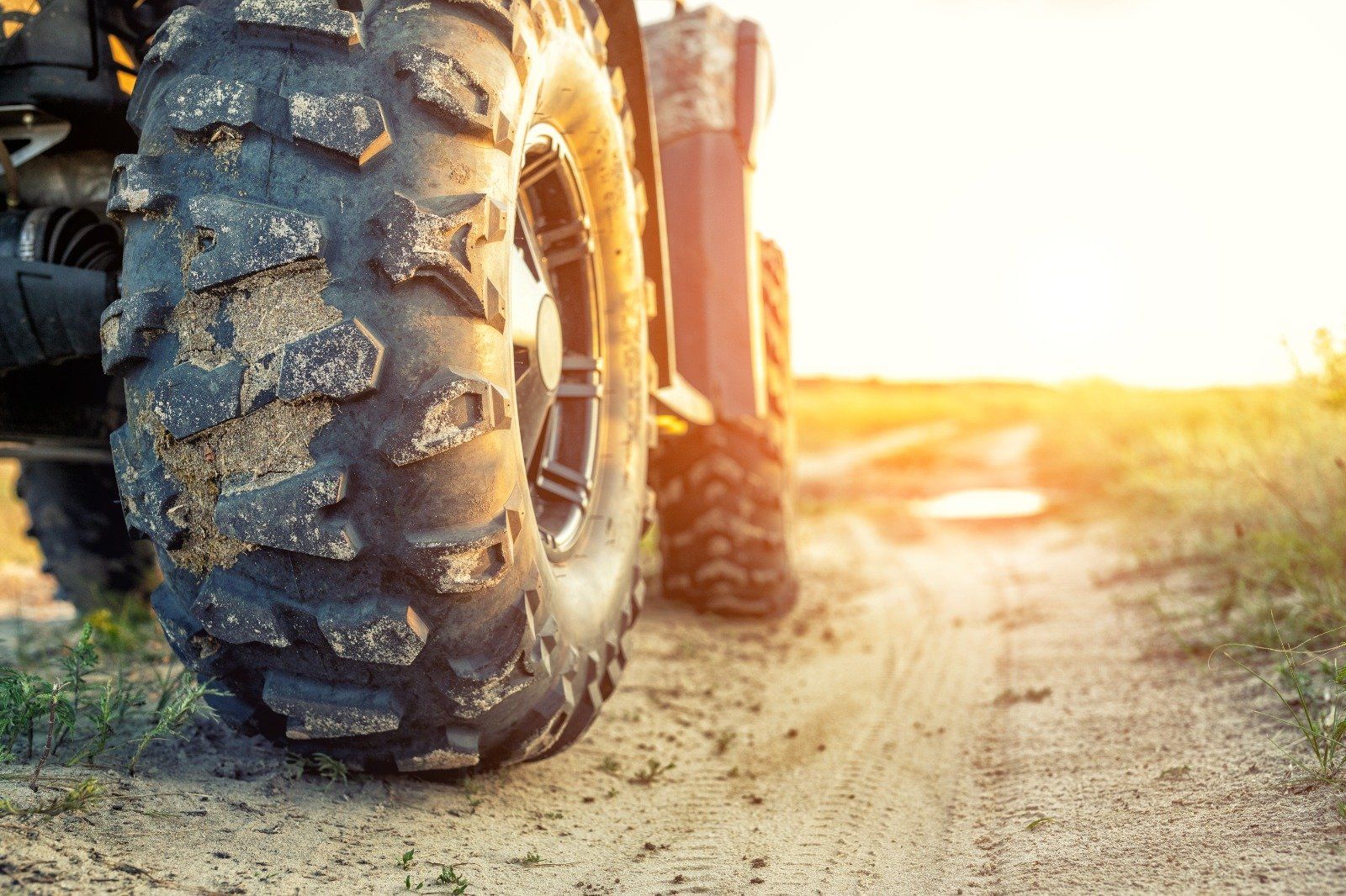 quad bike dealership