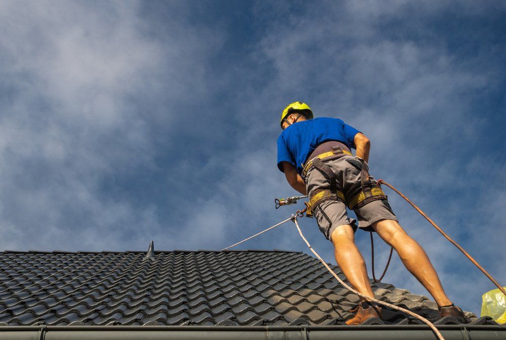Man painting roof — Pressure Cleaning in Nambucca Valley, NSW