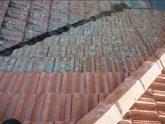 A Roof Full Of Dirt — Pressure Cleaning in Nambucca Valley, NSW