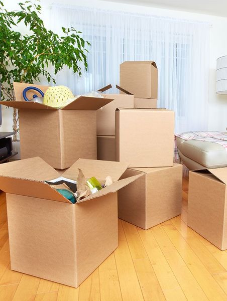 Moving Boxes in Living Room - Removal Service in Westcourt, QLD