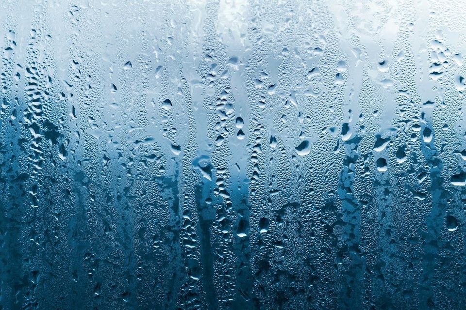 Window Condensation — Sacramento, CA — Bob's Glass