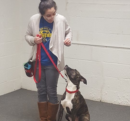 Client with their black and white dog during a training session