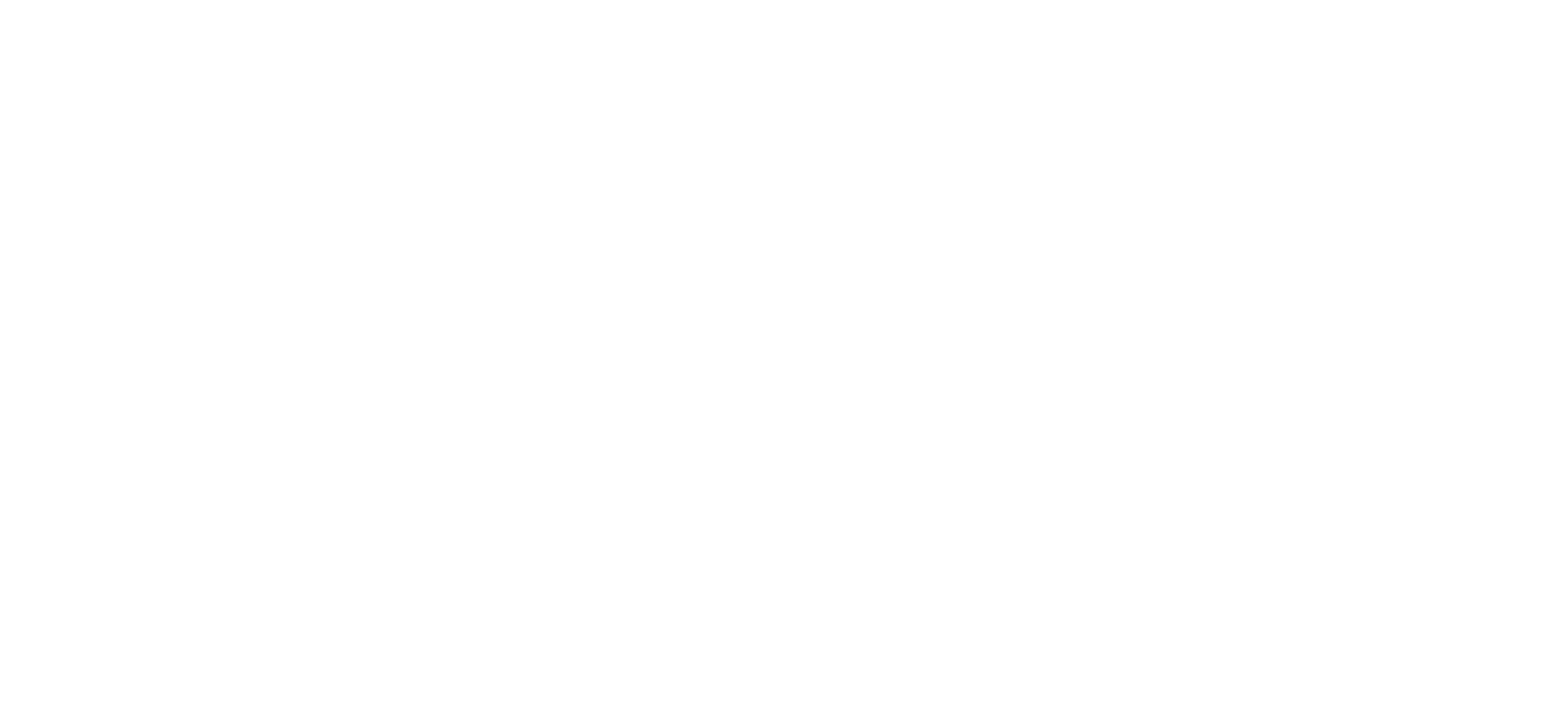 The Boaz Group logo