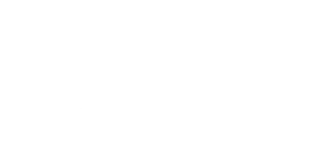 The Boaz Group logo