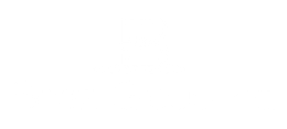 The Boaz Group logo