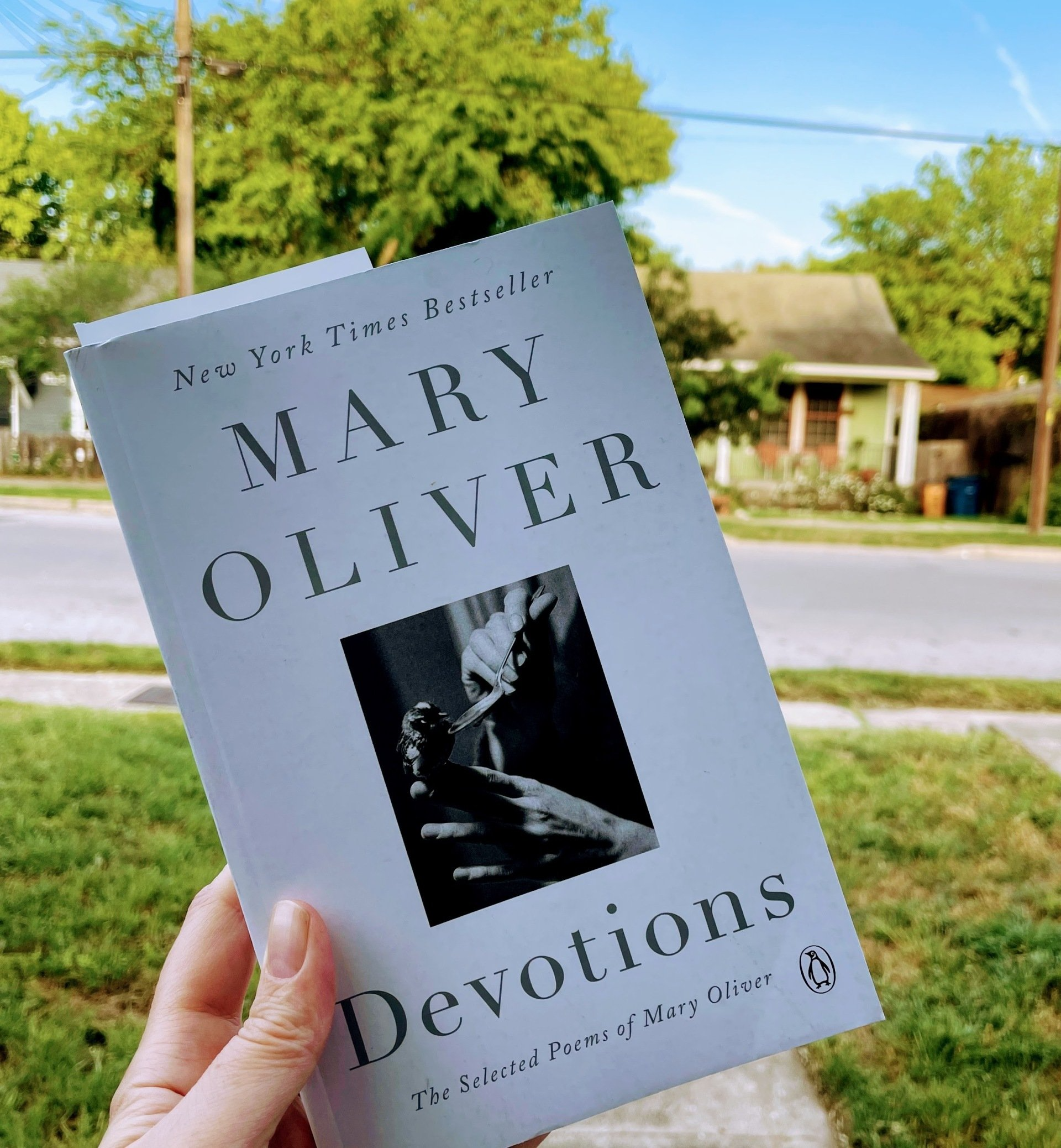 Mary Oliver Devotions