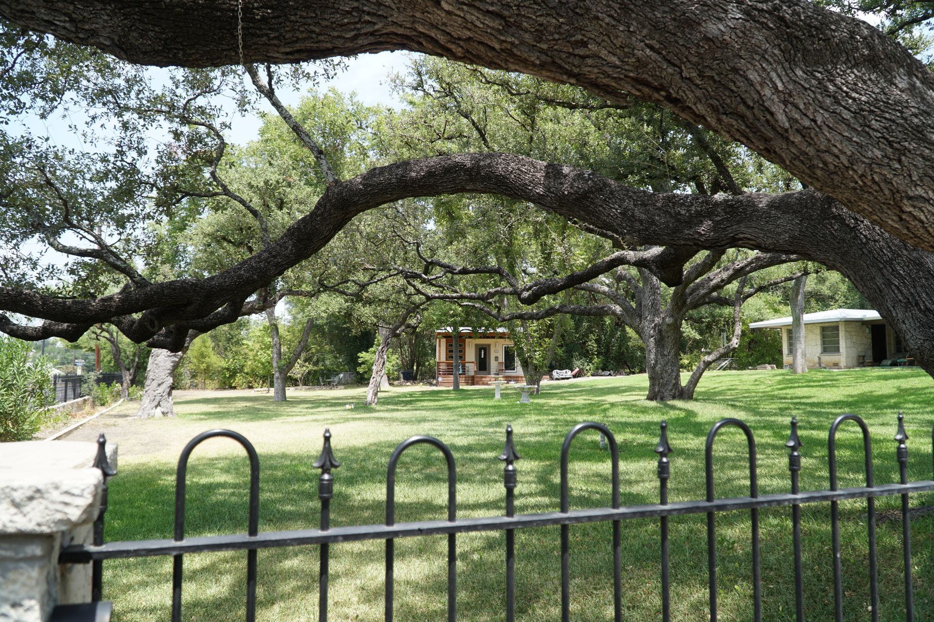 A park with a wrought-iron fence, lawn, trees, and small buildings under a large tree branch.