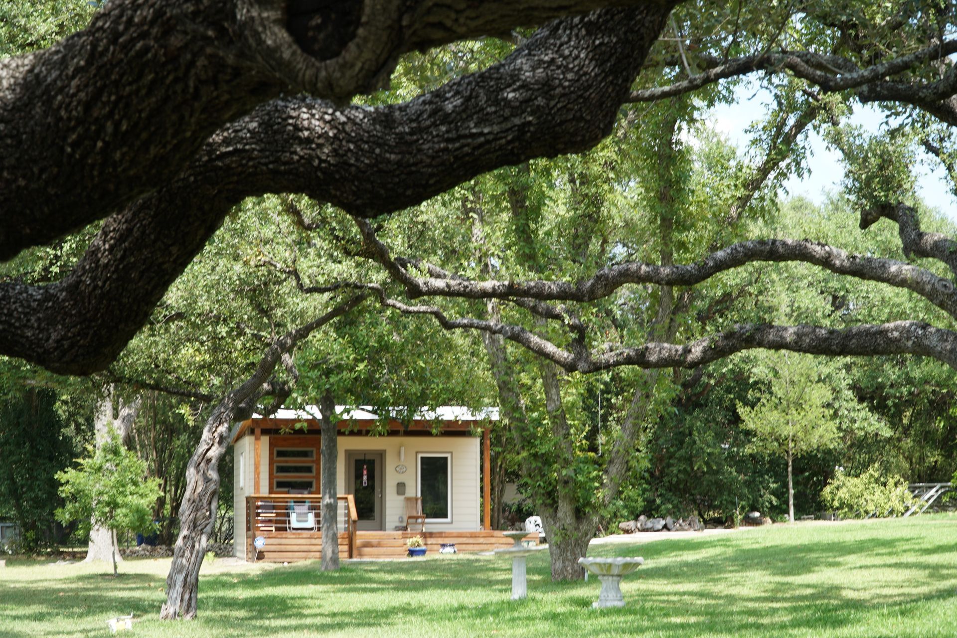 A small cabin nestled in a green yard, framed by a large tree with thick, dark branches.