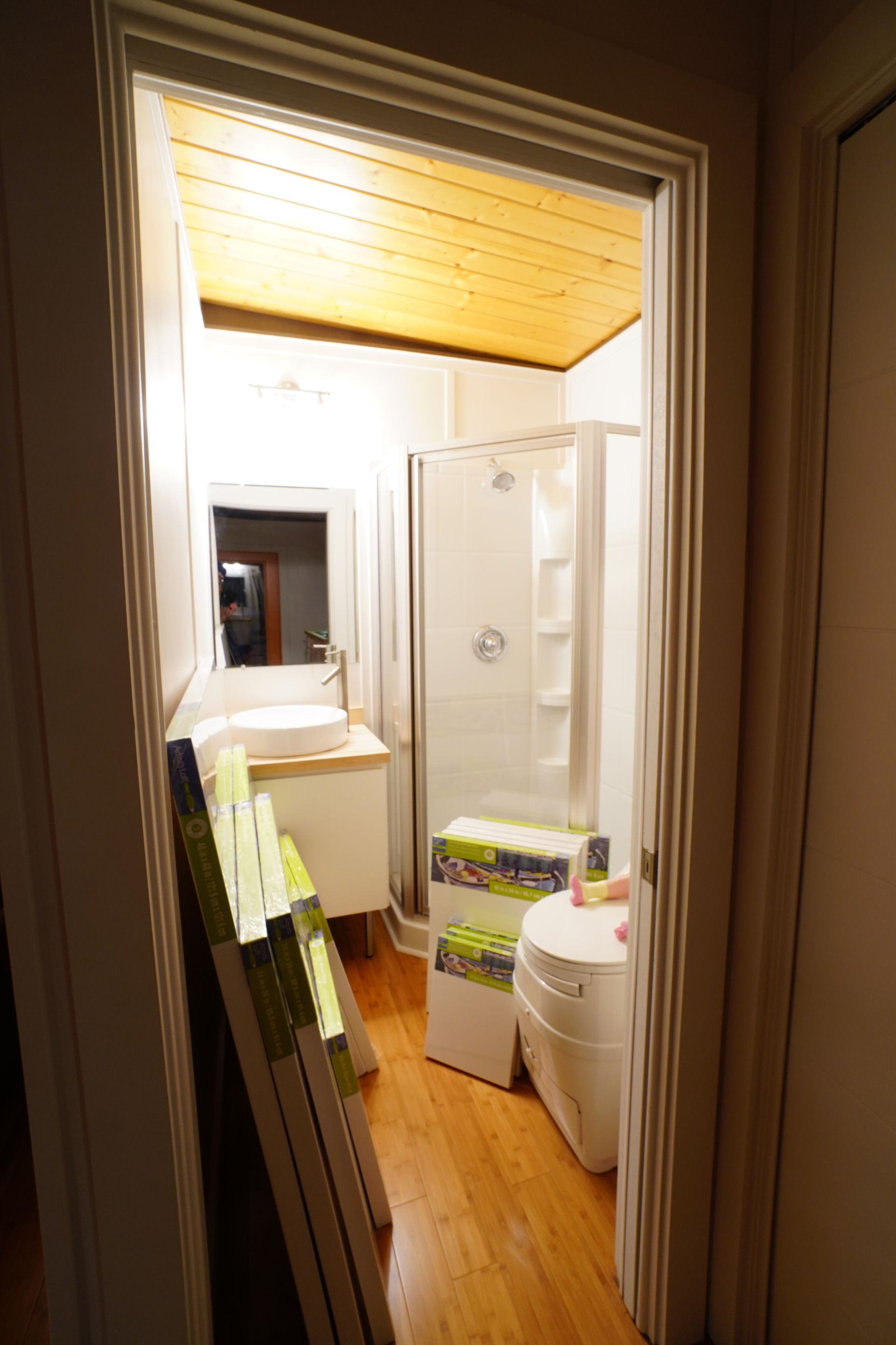 Bathroom renovation in progress: doorway view with shower, toilet, vanity, and construction materials.