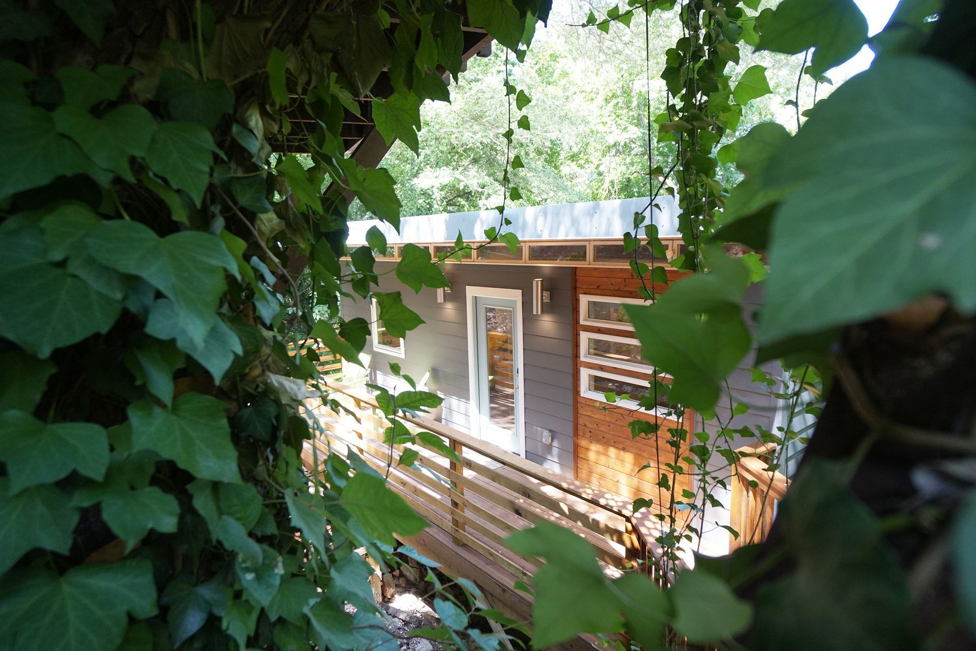 A house with a deck is surrounded by ivy and leaves.