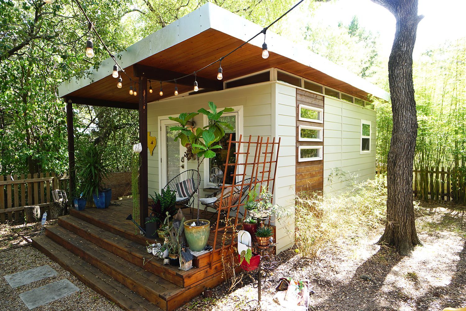Small backyard shed with a porch and string lights, surrounded by plants and trees.