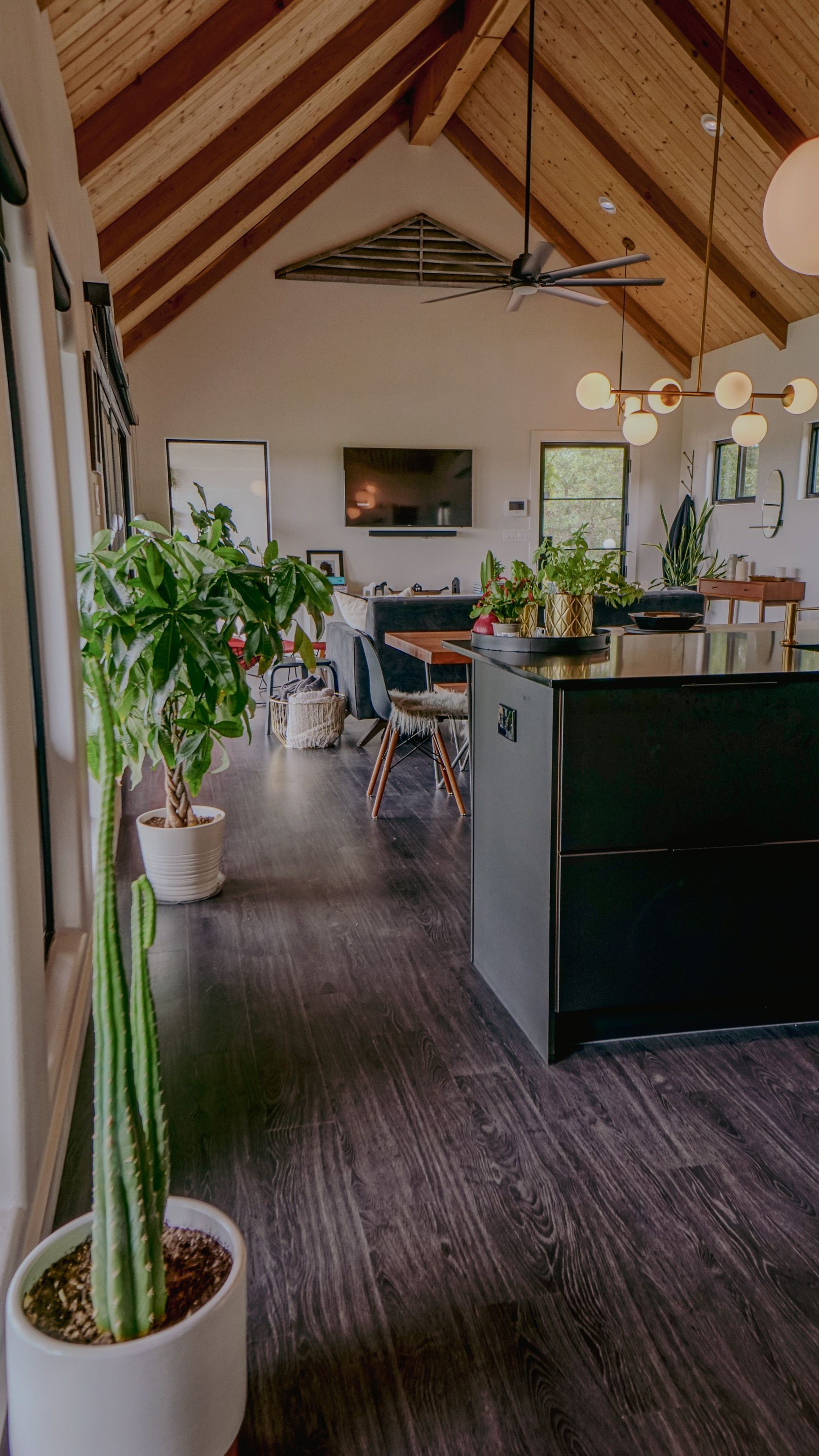 Spacious, modern kitchen with dark wood floors, exposed beams, and various plants.