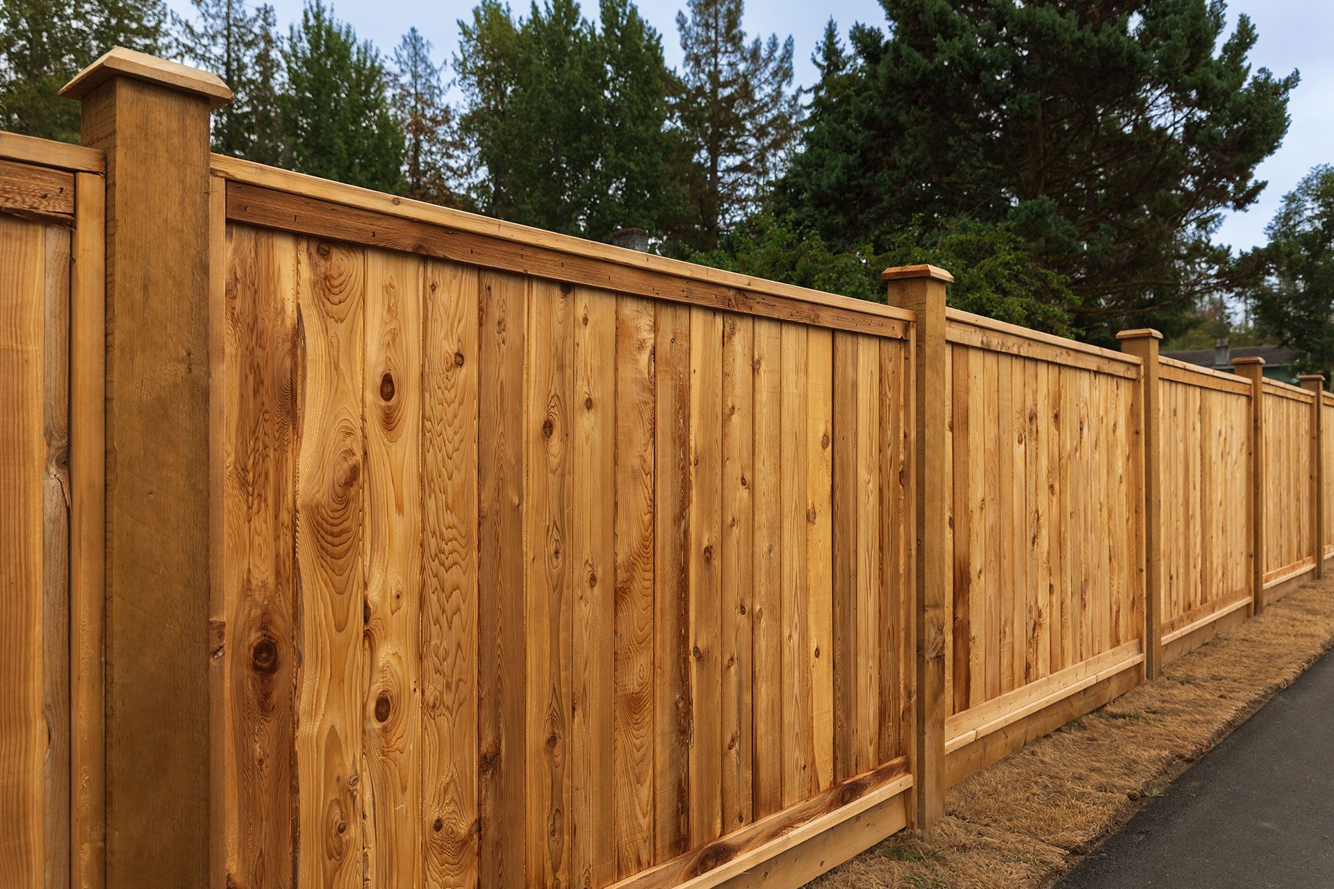 Wooden privacy fence in front of green trees and a paved path.