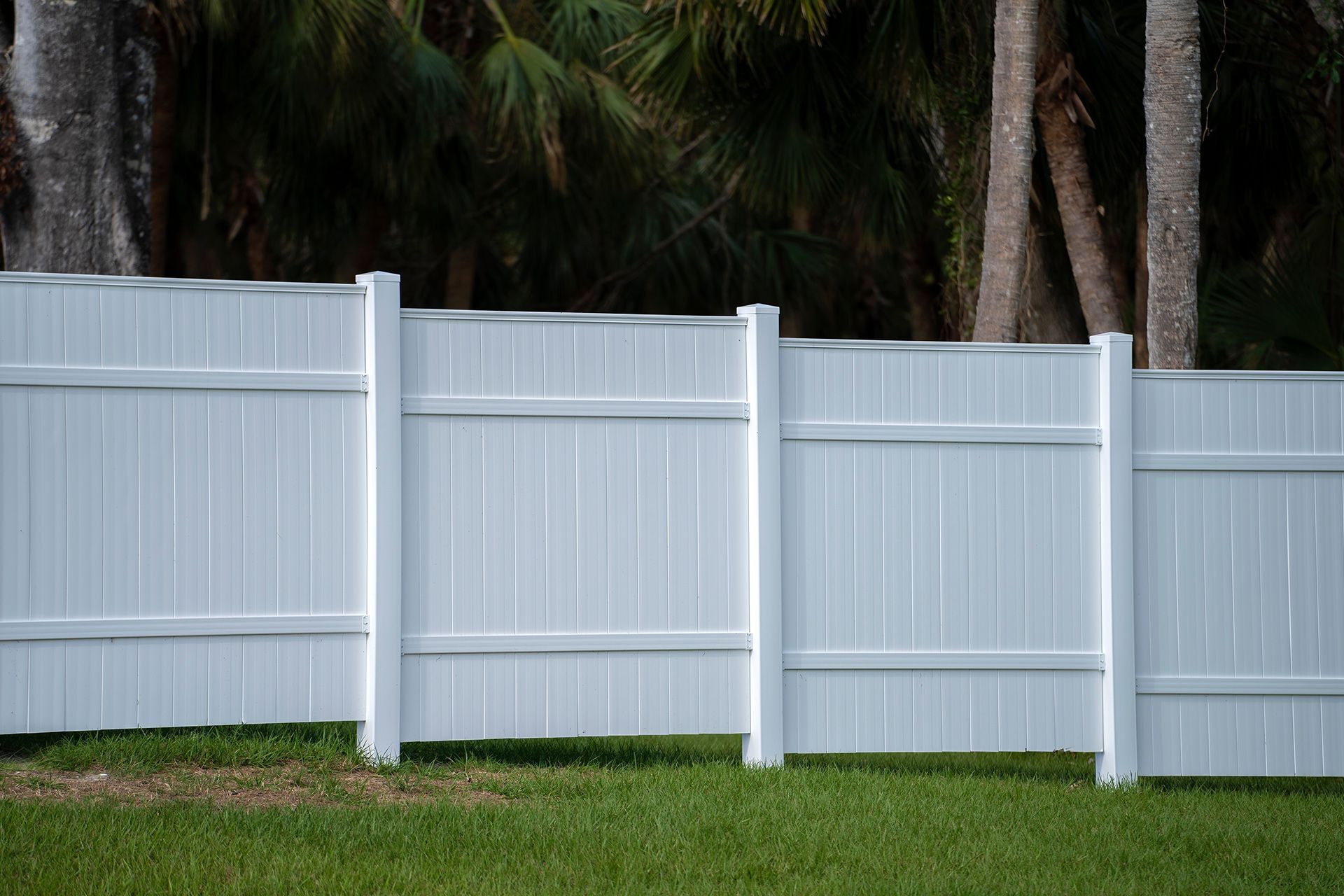 White vinyl fence in a grassy yard, with dark trees in the background.