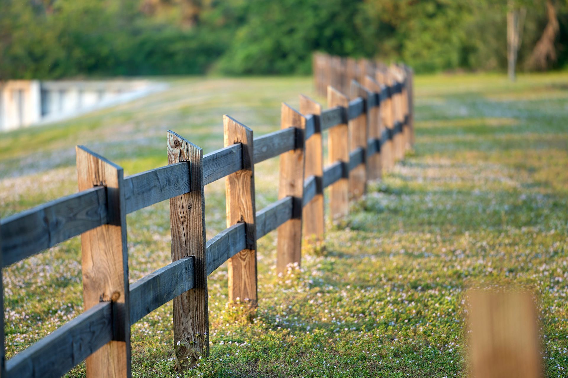Wooden split-rail fence in a grassy field with soft sunlight and a blurred background of trees.