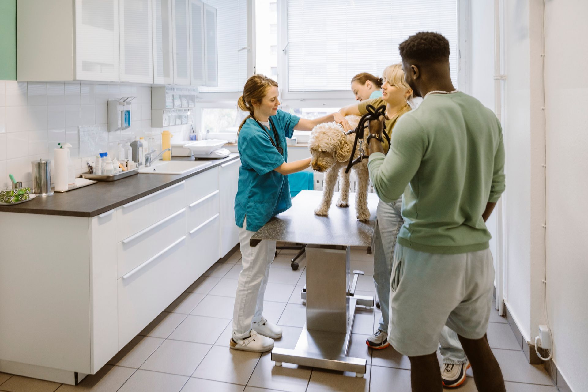 Veterinarian examining a dog on a table with its owners in a clinic.