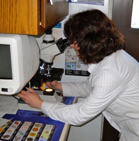 Woman looking into a microscope in a lab, with slides and a computer monitor nearby.