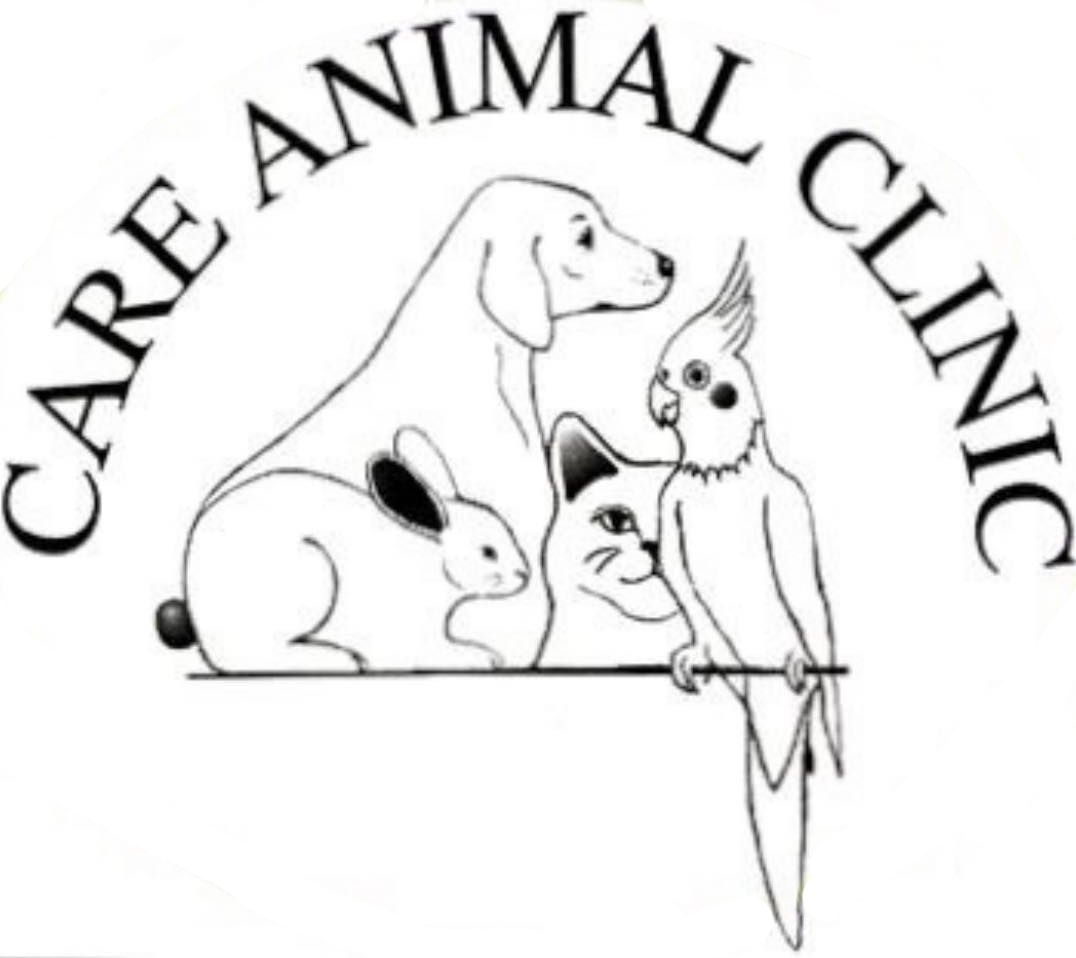 Care Animal Clinic