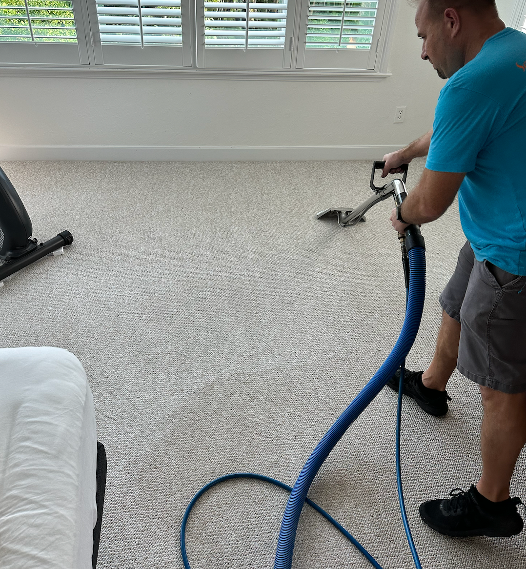 carpet cleaning