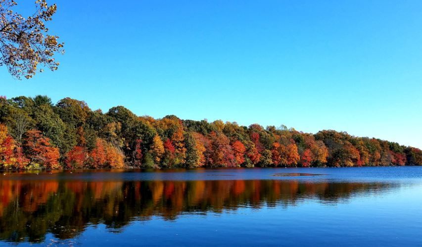 Photo of city skyline and river