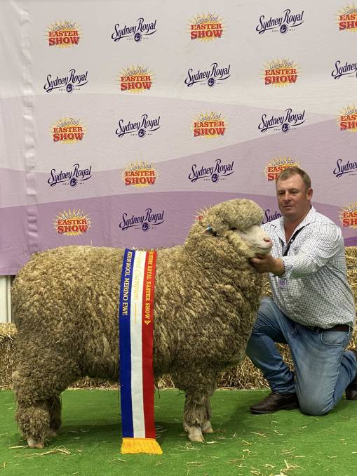 five peoples with the sheep
