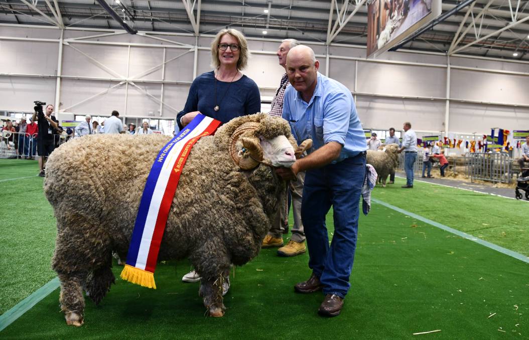 five peoples with the sheep