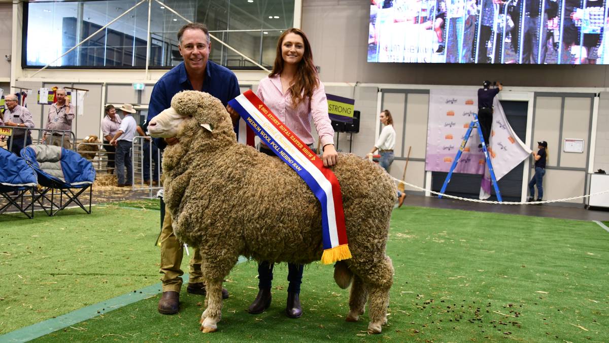 five peoples with the sheep