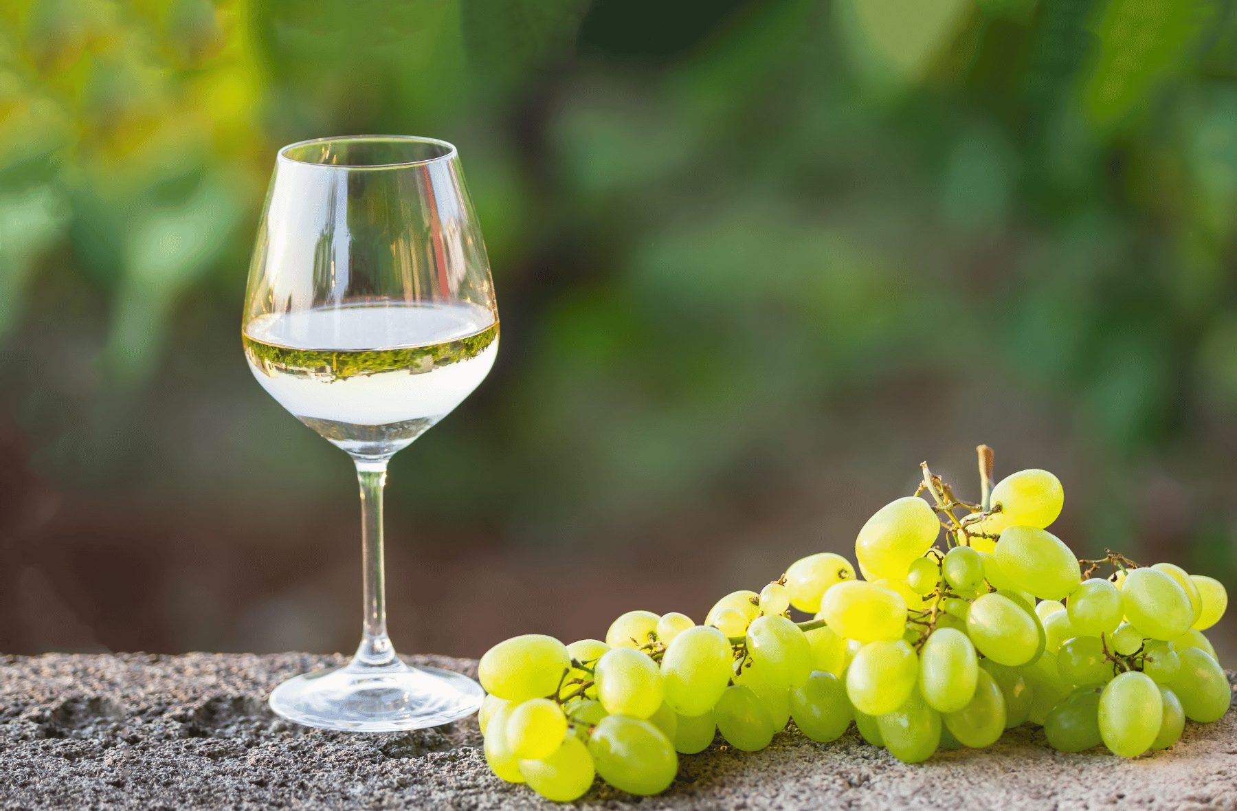 A glass of white wine next to a bunch of green grapes.